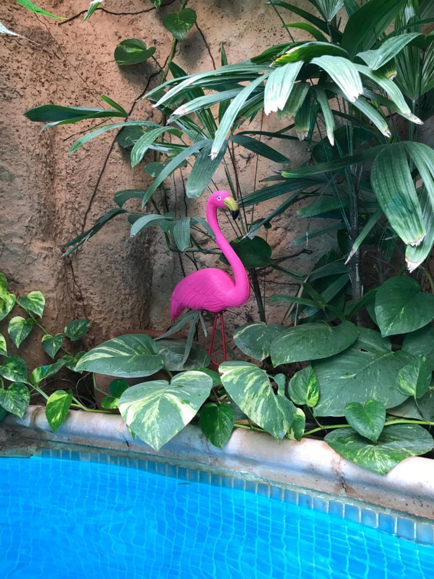 Tropical Oasis Lejlighed Ouakam Eksteriør billede