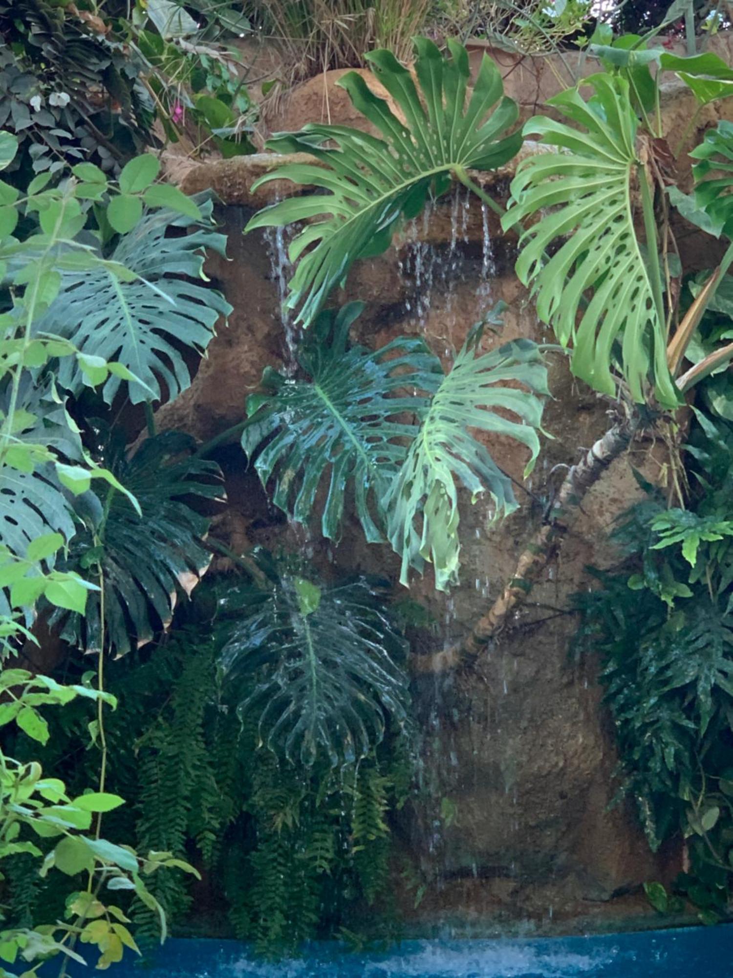Tropical Oasis Lejlighed Ouakam Eksteriør billede