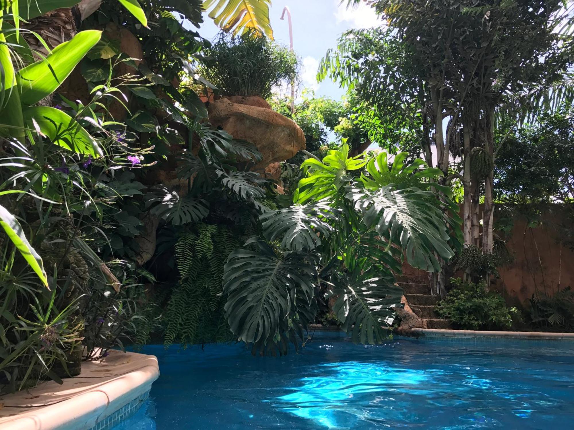 Tropical Oasis Lejlighed Ouakam Eksteriør billede