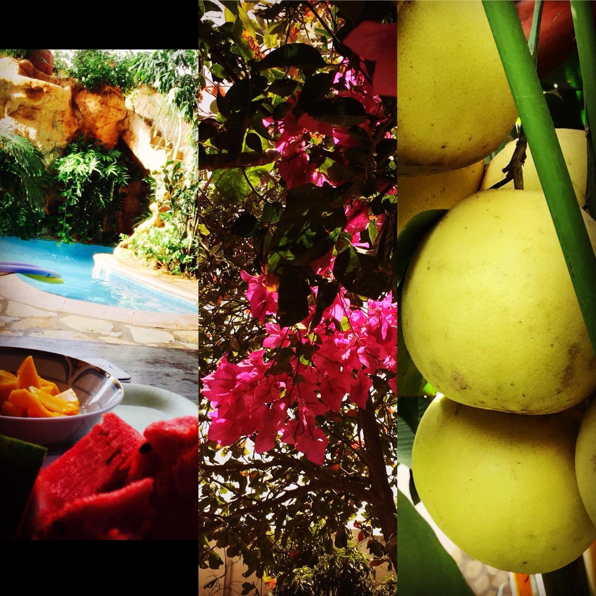 Tropical Oasis Lejlighed Ouakam Eksteriør billede