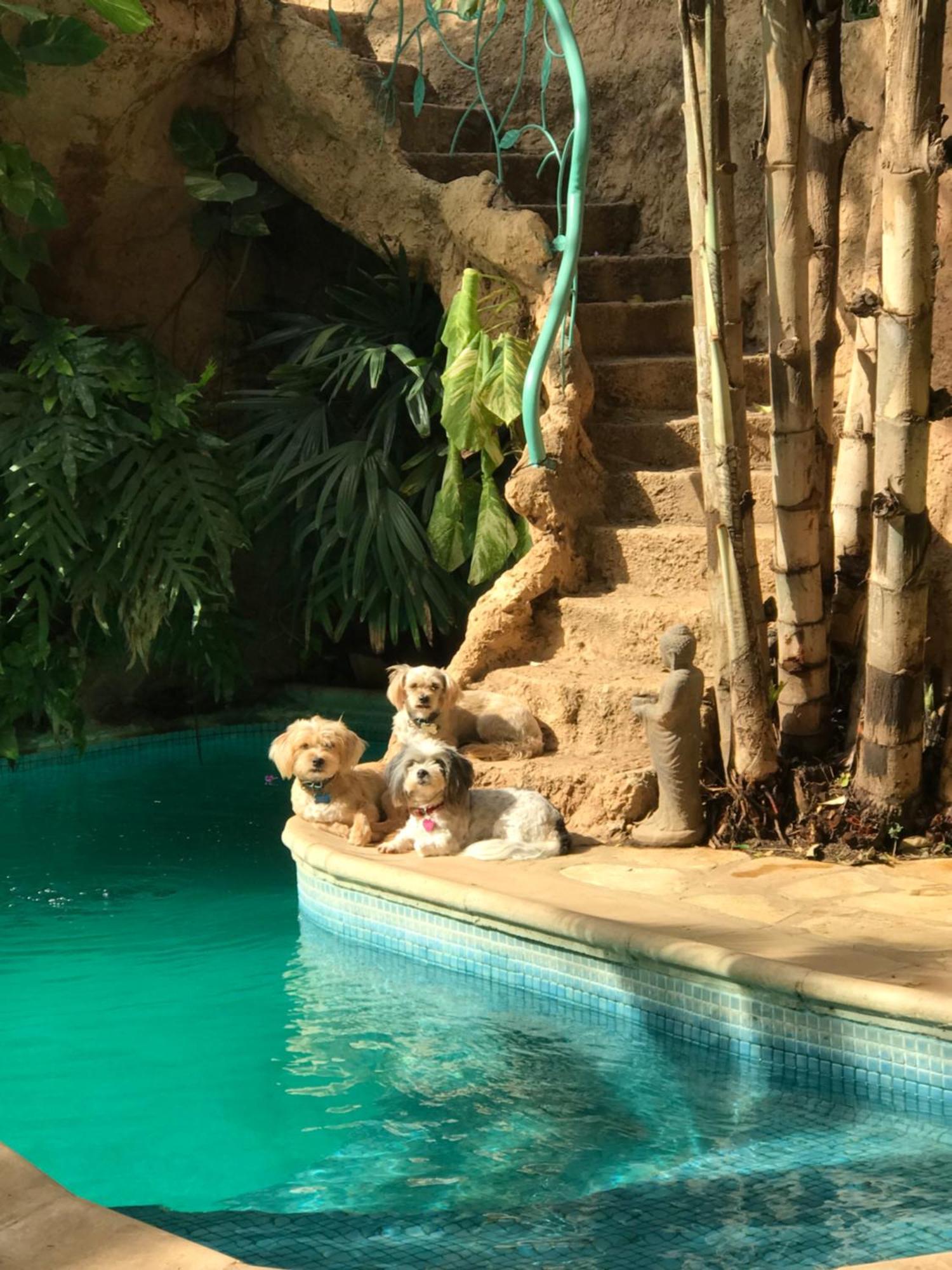 Tropical Oasis Lejlighed Ouakam Eksteriør billede